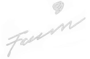 Franca Faccin – Opere e biografia
